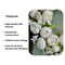 Zoey White Green Faux Peony Flower Wreath 23" All Season Indoor Outdoor Decor